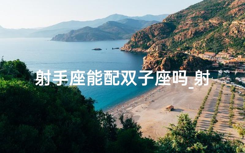 射手座和双子座配对分析_射手座和双子座的配对指数是多少_射手座双子座恋爱问题