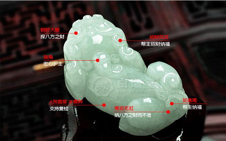 金鼠命人最佳职业选择指南
