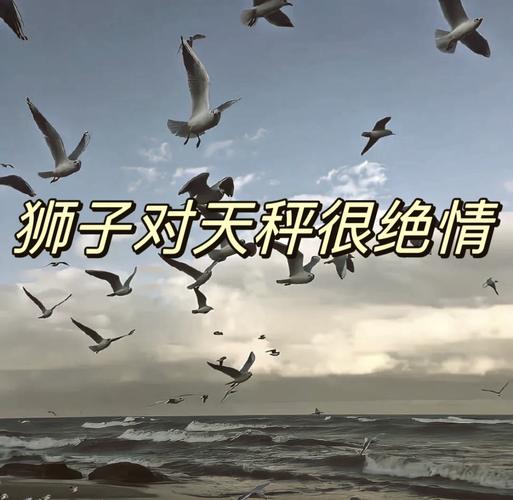 狮子座和天秤座配对指数高吗 看这几点就懂了