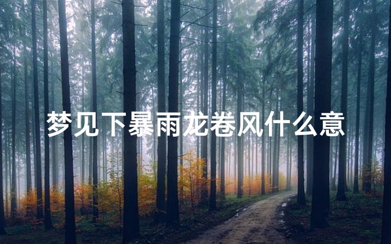梦见暴雨如注象征意义_梦见下大暴雨_梦见下大暴雨预示什么
