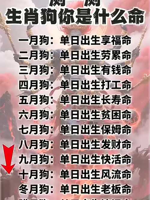 属狗男2026年能放下旧爱吗 听听命理怎么说
