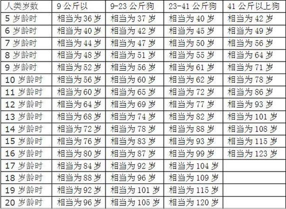属狗男2026放下旧爱吗_属狗男2026年感情运势_属狗男如何放下旧爱