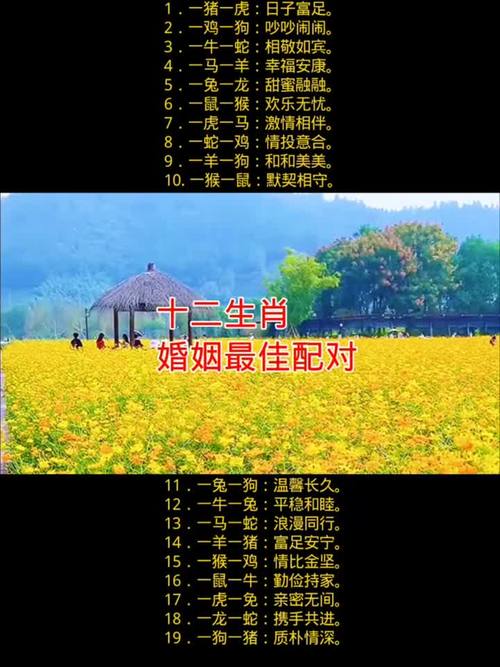 龙女与猴鼠鸡男婚配分析_2026年属龙女性最佳婚配生肖男_2026年龙女会嫁给谁