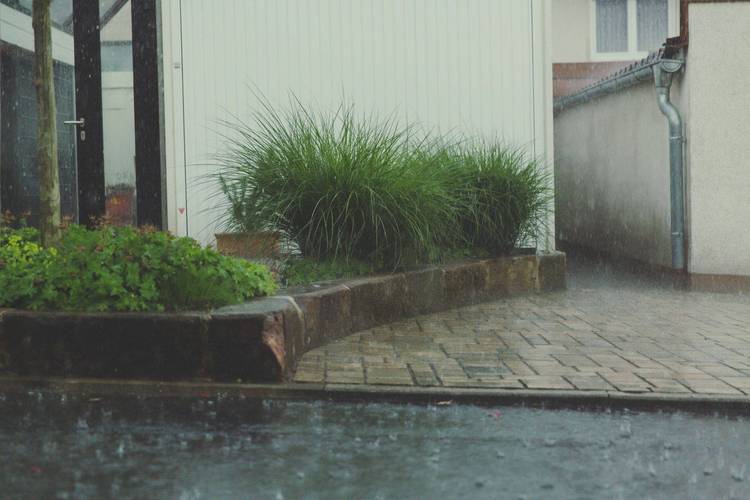 做梦房子漏雨怎么破解或化解_梦见房子漏雨预示着什么_做梦房子漏雨是什么意思