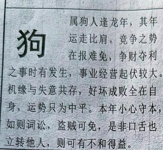 属狗2026年学业运势_属狗人2026年学习机会_属狗2026年学业运怎么样