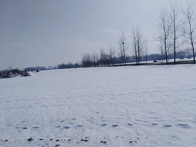 梦到地面有白茫茫的雪_梦见白茫茫雪地怎么化解_梦见地面白雪象征什么
