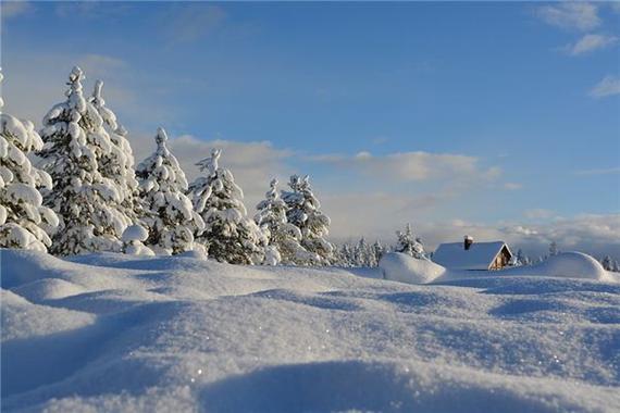 梦见白茫茫雪地怎么化解_梦到地面有白茫茫的雪_梦见地面白雪象征什么