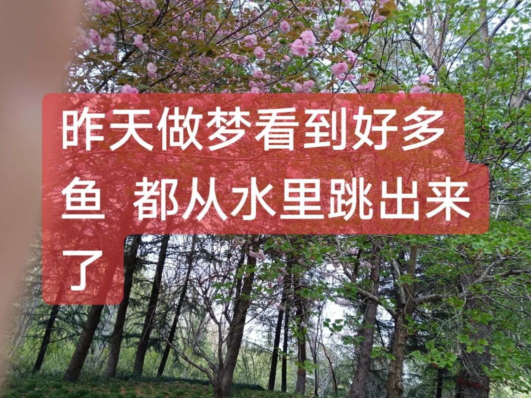 已婚女人梦见捞鱼代表财运_梦见捞好多鱼对已婚女性的预示_已婚女人梦见捞了好多鱼