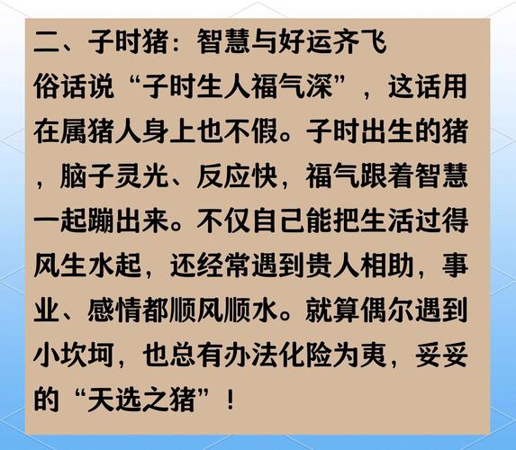 属猪宝宝选对出生季节 福气财运更顺畅