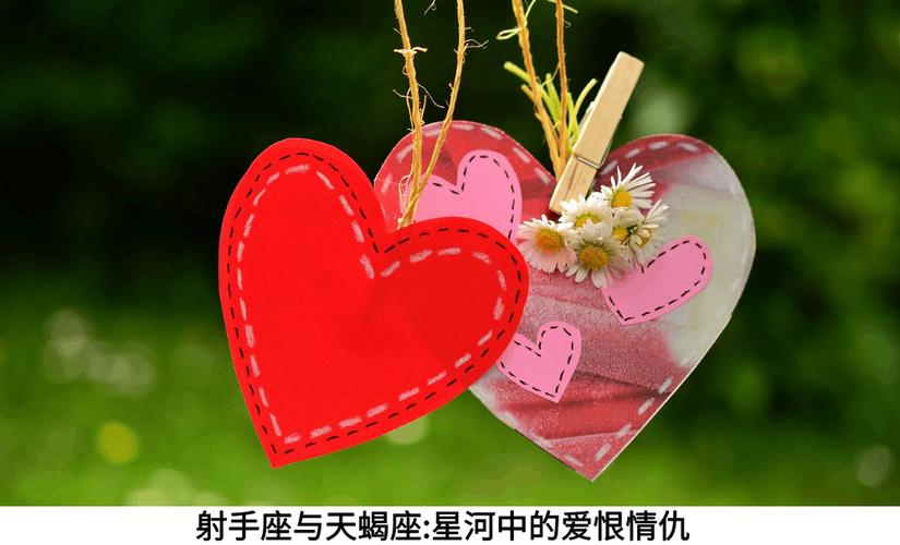 射手座女与天蝎座男配对指数_射手座女与天蝎座男的配对指数是多少_射手座女生与天蝎座男生性格差异