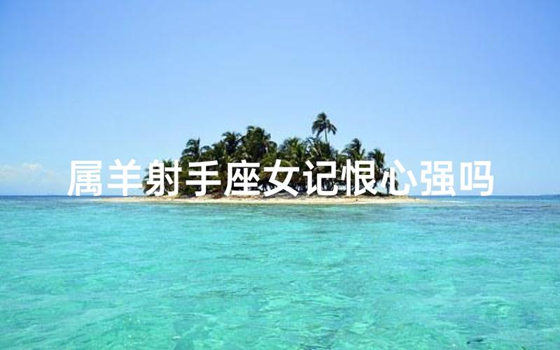 2003年属羊射手座男性格特点_2003年属羊射手座男命运_2003年属羊射手座男事业运分析