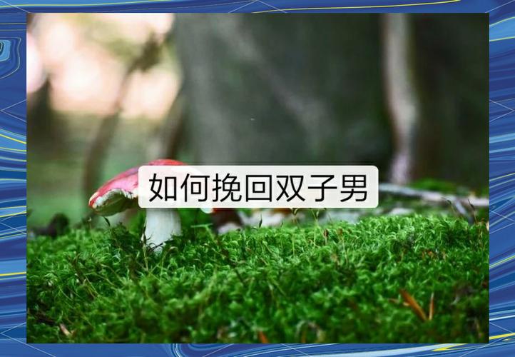 怎么挽回双子座男友的秘诀