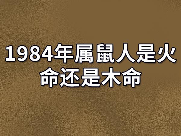 火鼠命是几等命 属鼠火命的人命好不好