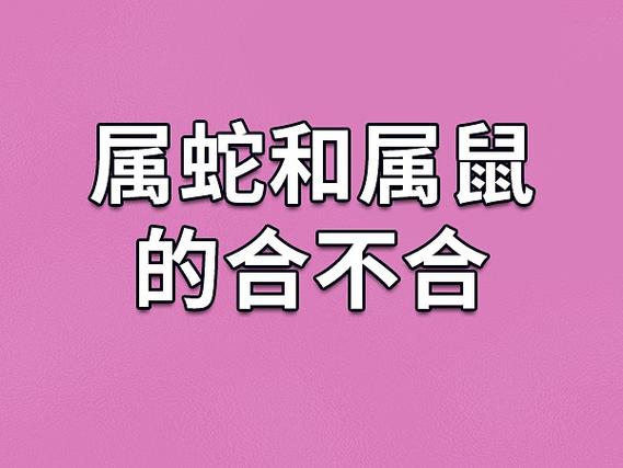木蛇命和什么属相最配 属蛇婚配最佳选择