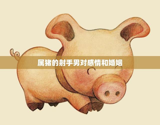 属猪射手座男性分析_属猪的射手座男的性格_属猪射手男性格特点