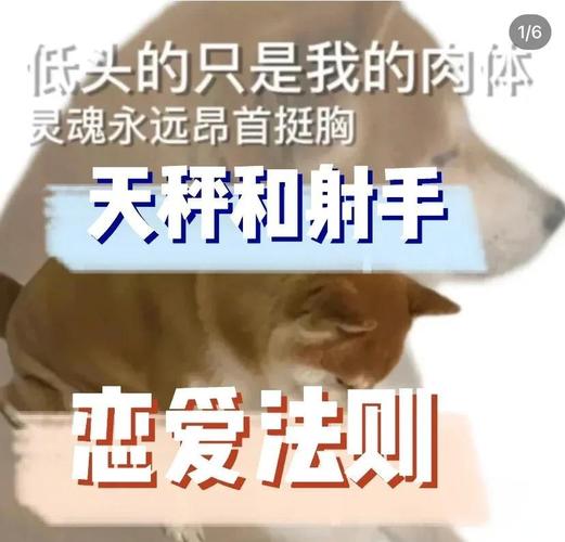 天秤座女性和射手座男性配对_天秤座女与射手座男的匹配程度_天枰女和射手男性格合不合