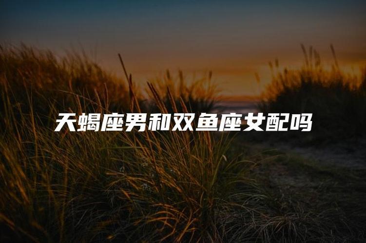 天蝎座女和双鱼座男婚姻匹配度：这对组合能白头偕老吗