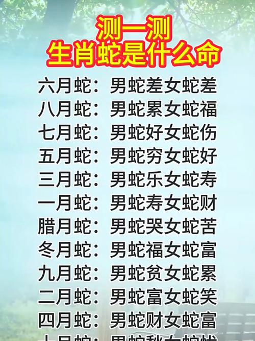 木蛇命的人命运如何？2026年运势全解析