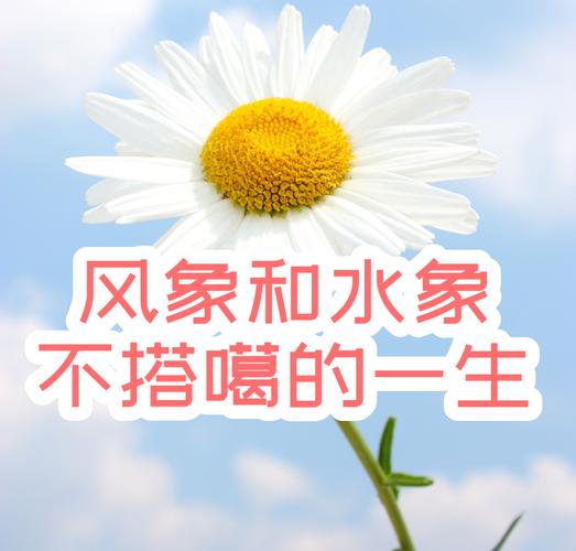 风象星座孤独原因_风象星座成长历程_风象星座的成长经历
