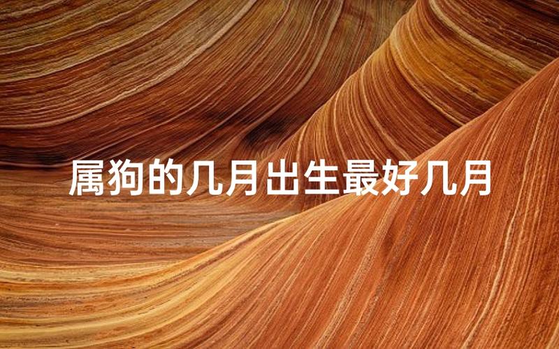 金狗命是什么命_1970年属狗金狗命性格特点_金狗命财运事业分析