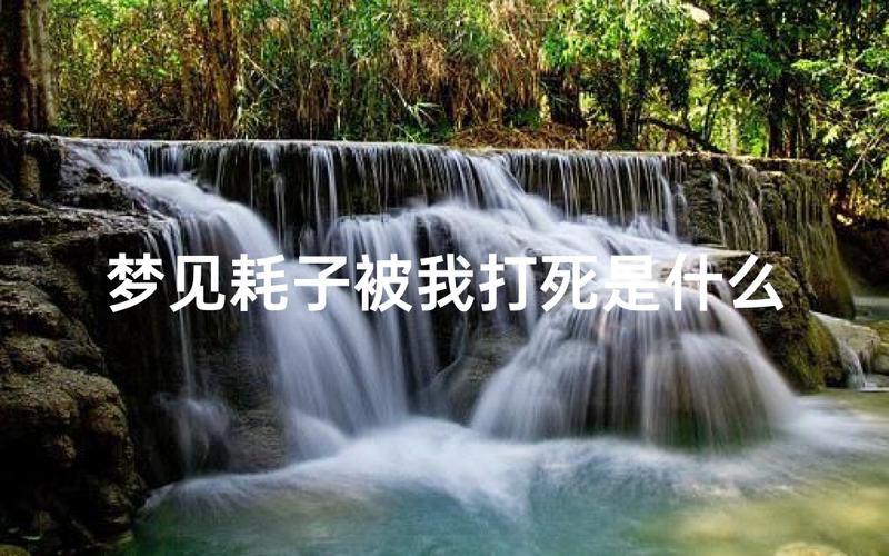梦见老鼠被打死象征意义_梦见老鼠被打死_梦见老鼠被打死预示什么
