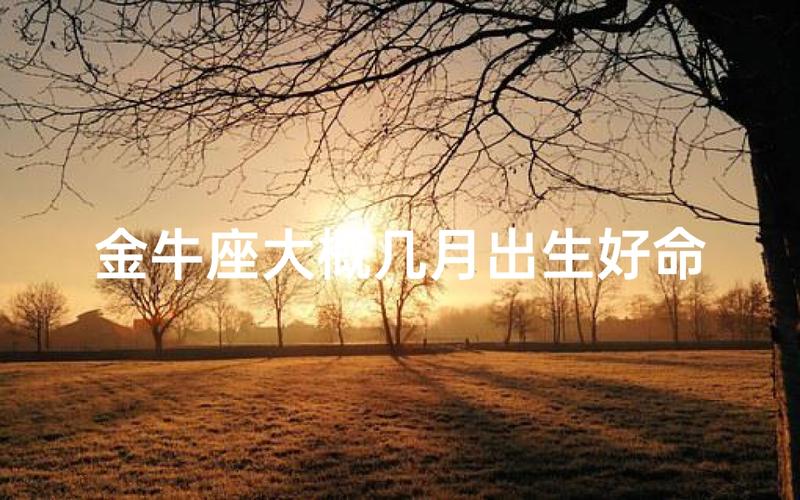 金牛座几月出生最好命？揭秘金牛最有福气的月份特征