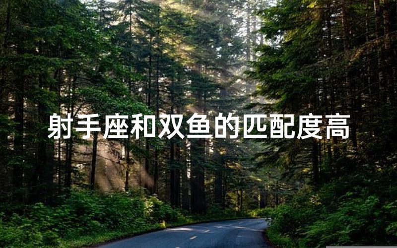 射手座男跟双鱼座女的匹配度_射手座男双鱼座女性格差异_射手座男双鱼座女相处技巧