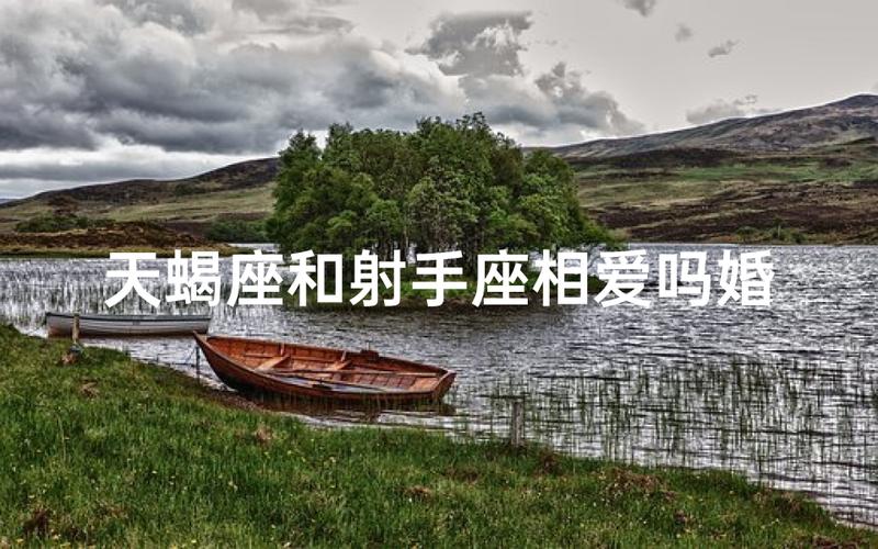 射手座跟天蝎座配相配的几率是多少_射手座天蝎座性格差异大吗_射手座和天蝎座相配几率