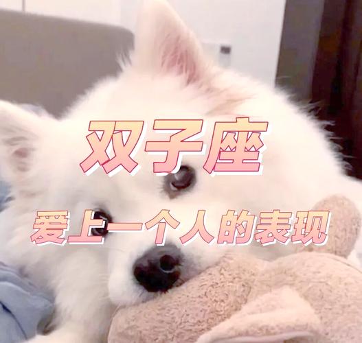 双子座爱上一个人的表现是什么_双子座爱上一个人表现_双子座分享日常的信号