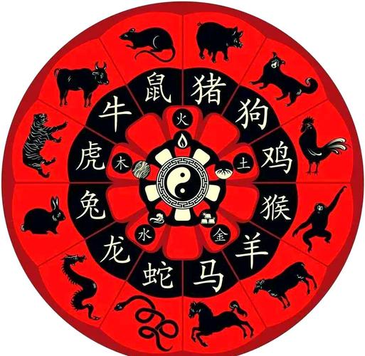 火羊命选楼层指南：五行数理与居住运势的深度解析