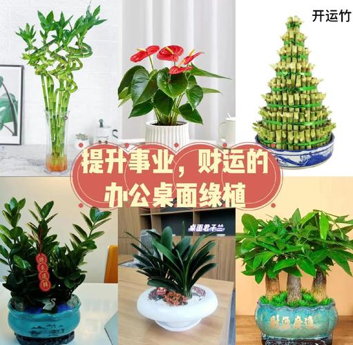 木牛命宜忌颜色_木牛命幸运色_木牛命什么颜色最旺