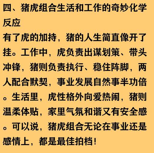 属猪人的吉祥数字_属猪幸运数字2和6_属猪八字吉祥数字6