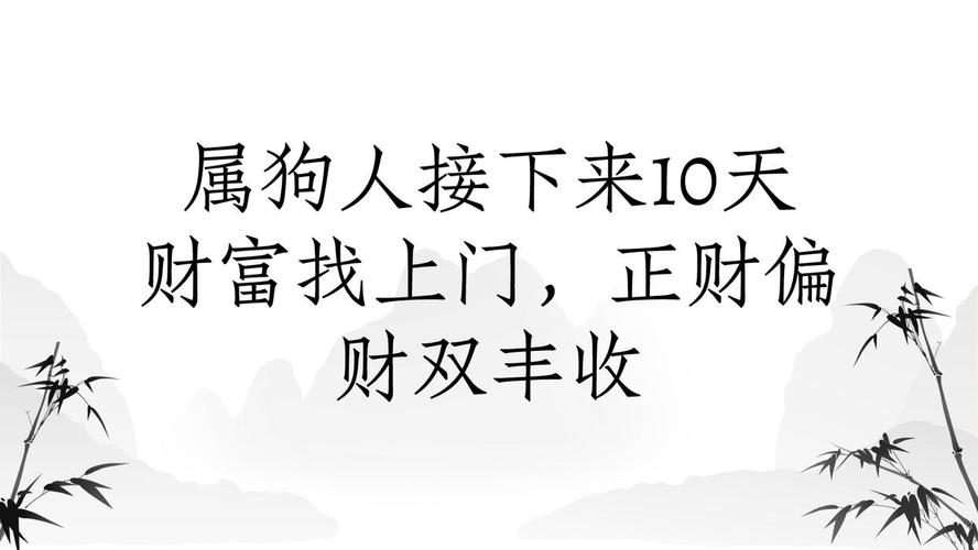 属狗人2026年下半年财运走势及破局之道