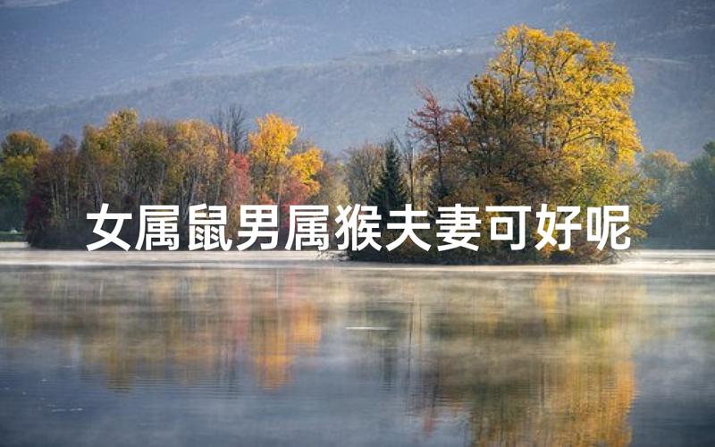 属鼠男天蝎座爱情表现_属鼠男天蝎座对待心爱女人_属鼠男天蝎座性格