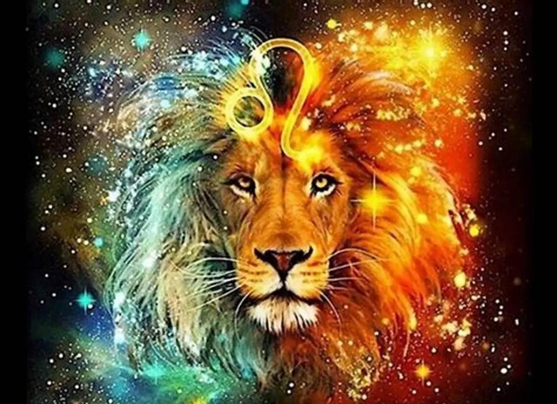 8月23日狮子处女座判断_8月23日太阳星座划分_8月23到底是狮子座还是处女座