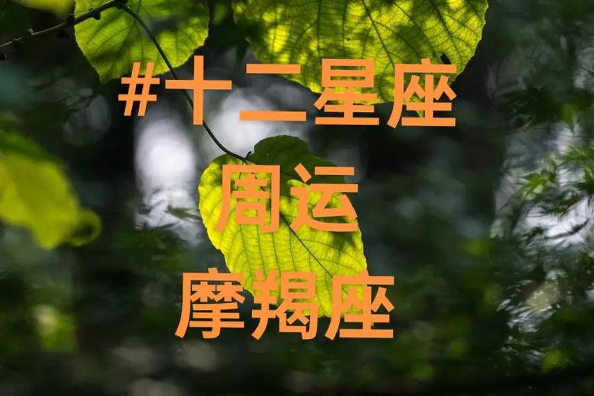 摩羯座出生日期详解与性格运势解析