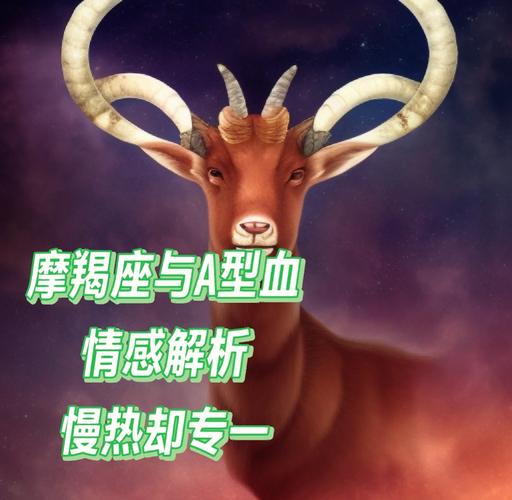 12月26日摩羯座的性格_12月26日摩羯座性格特点_12月26日摩羯座事业发展方向