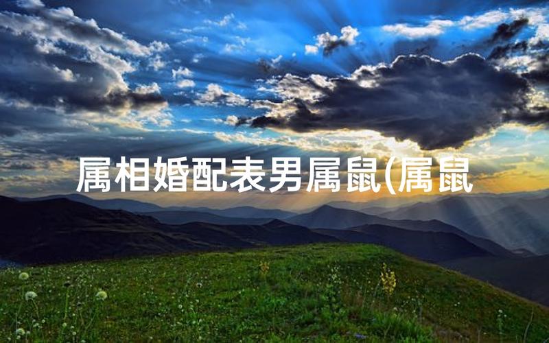 属鼠最佳婚配生肖_属鼠上上等婚姻配对_属鼠的上上等婚姻是什么生肖