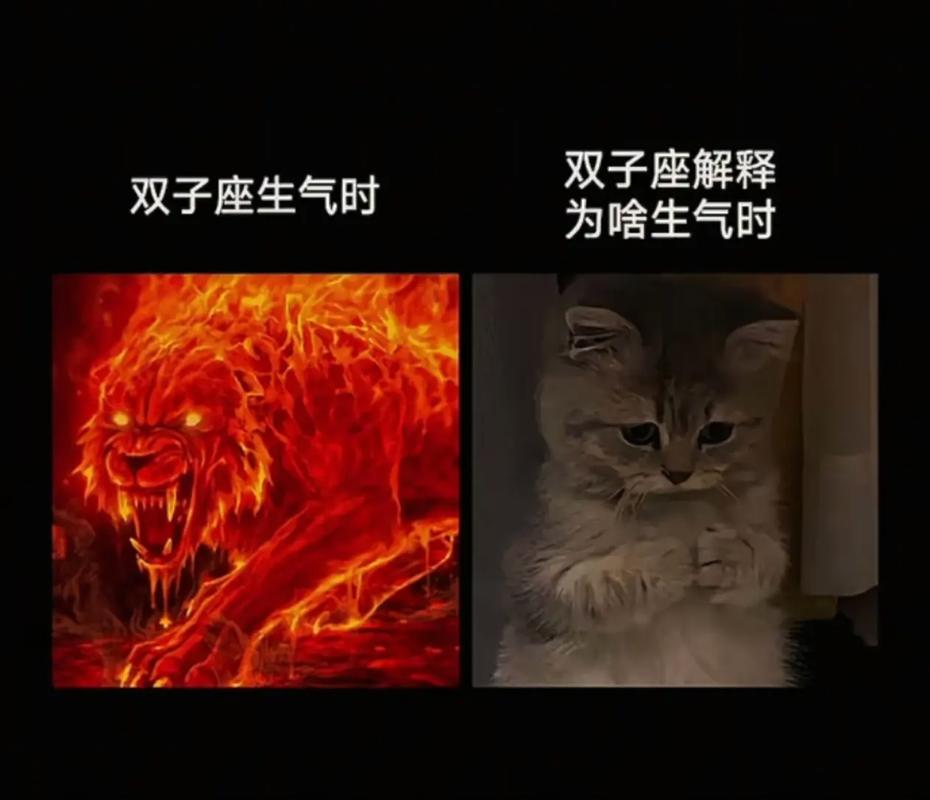 双子座的脾气暴躁吗_双子座情绪机制_如何与情绪化双子座相处