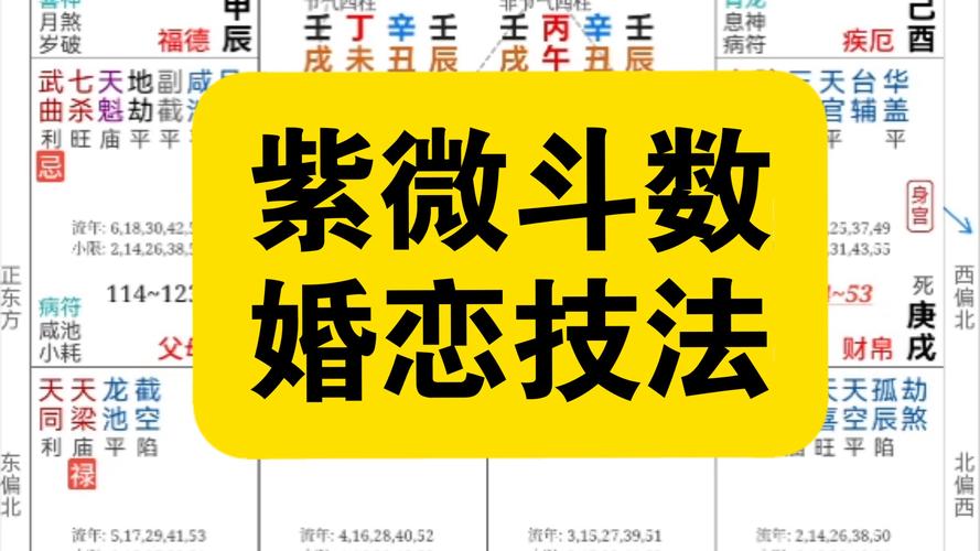 紫微斗数看结婚应期_紫微斗数看结婚应期_流年红鸾天喜入夫妻宫
