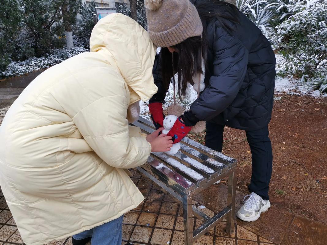 女人梦见满地的雪_女人梦见满地的雪代表什么寓意_女人梦见大雪覆盖地面的解梦分析