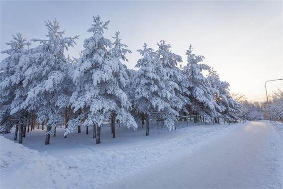 女人梦见满地的雪_女人梦见大雪覆盖地面的解梦分析_女人梦见满地的雪代表什么寓意