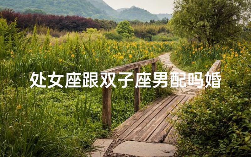 处女座女和双子座男的婚姻怎么样_处女座女和双子座男性格差异大能过好吗_处女座女和双子座男婚姻配对