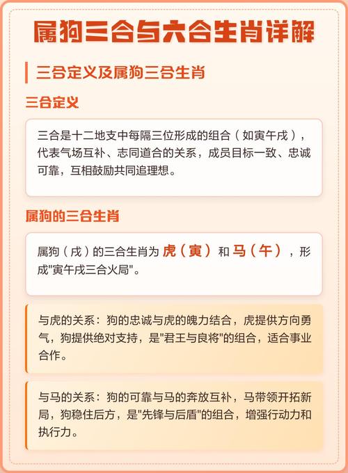 2026年倒追生肖狗女是谁_2026年最有可能倒追生肖狗女的生肖_2026年生肖狗女倒追对象分析