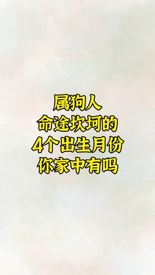 2026年最有可能倒追生肖狗女的生肖_2026年生肖狗女倒追对象分析_2026年倒追生肖狗女是谁