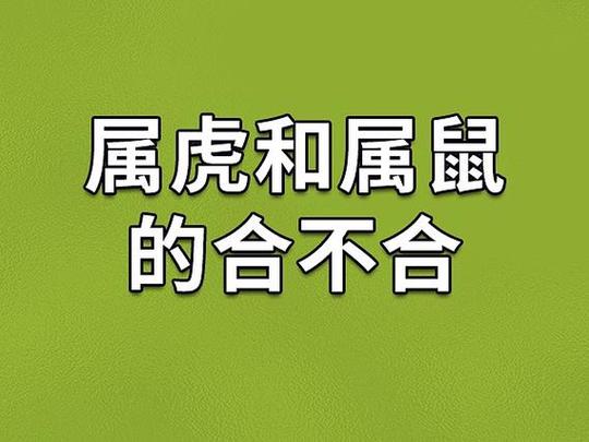 属鼠夫妻相配_鼠鼠婚姻分析_两口子都是属鼠好不好，鼠和鼠相配婚姻会怎么样