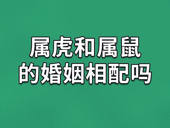 两口子都是属鼠好不好，鼠和鼠相配婚姻会怎么样_属鼠夫妻相配_鼠鼠婚姻分析