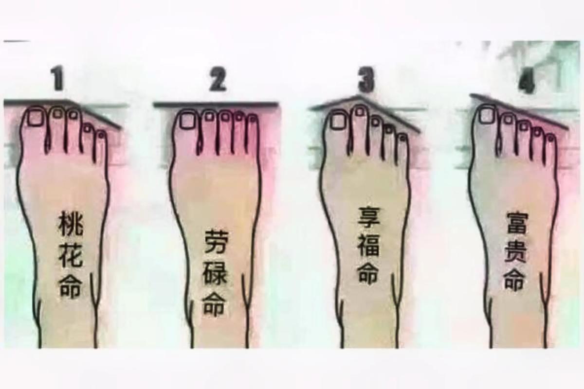 水猴命到底是苦命还是富命？看完就懂了