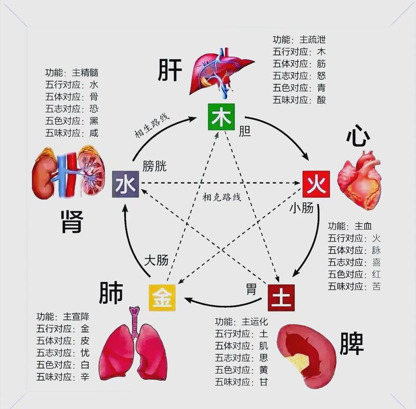 海中金与什么相生相克_海中金相生相克关系_海中金五行生克原理