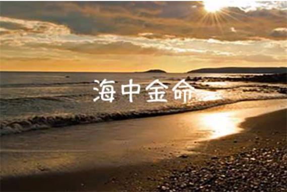 海中金命和什么命相配_海中金命与土命相生关系_和海中金相生的命